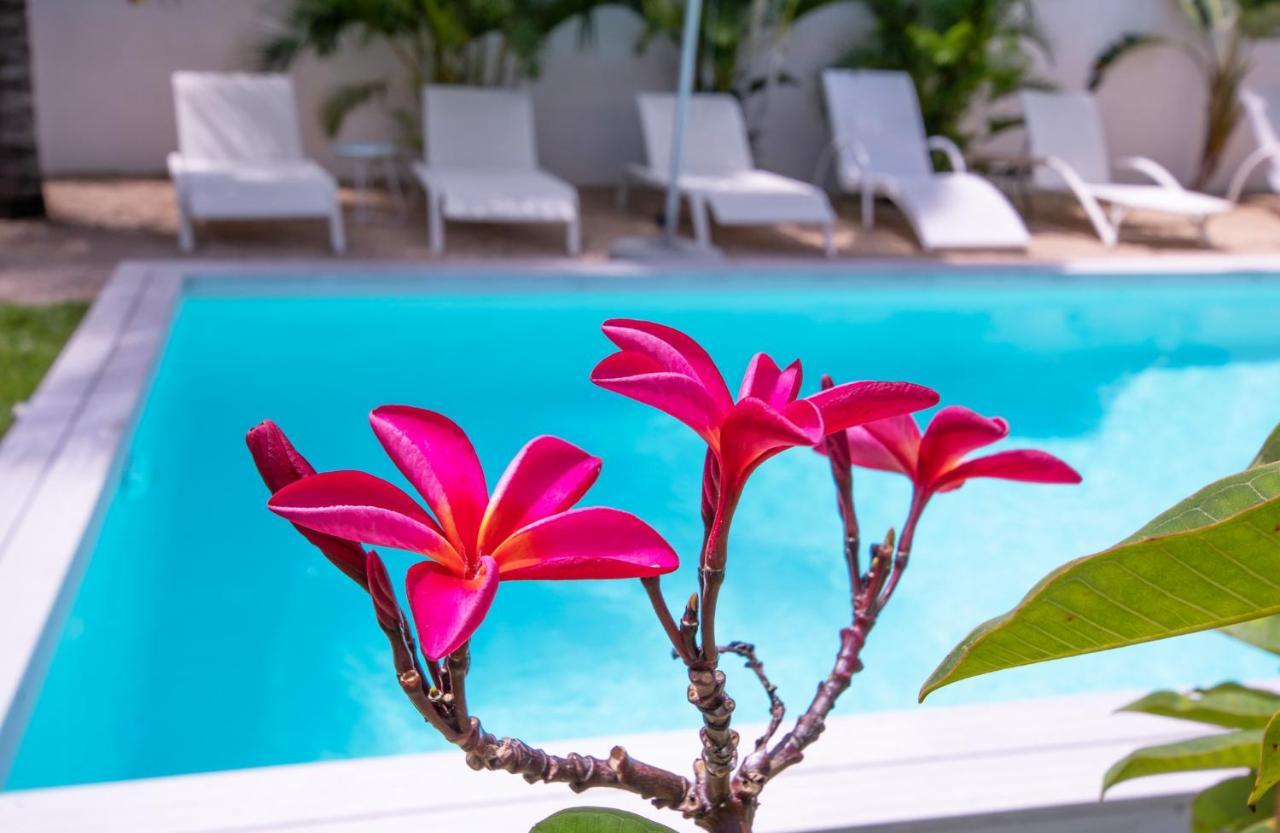Le Mandala Moris Guesthouse Pointe Aux Canonniers Grand Bay Εξωτερικό φωτογραφία